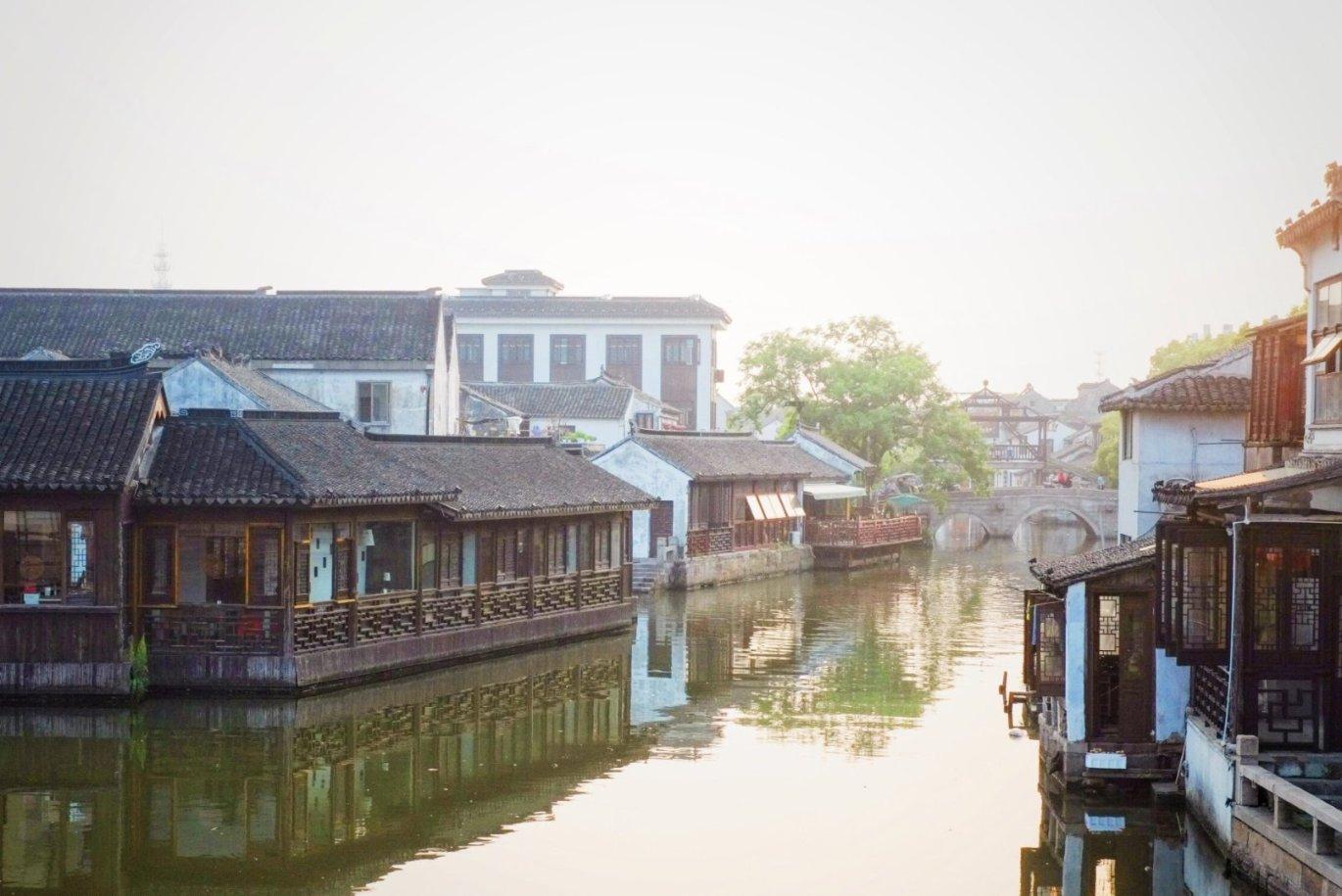 僵尸顶顶乐